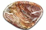 Colorful Polished Petrified Wood Bowl - Madagascar #346830-1